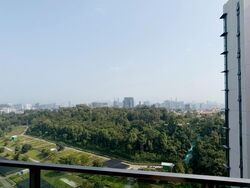 Normanton Park (D5), Apartment #597222831